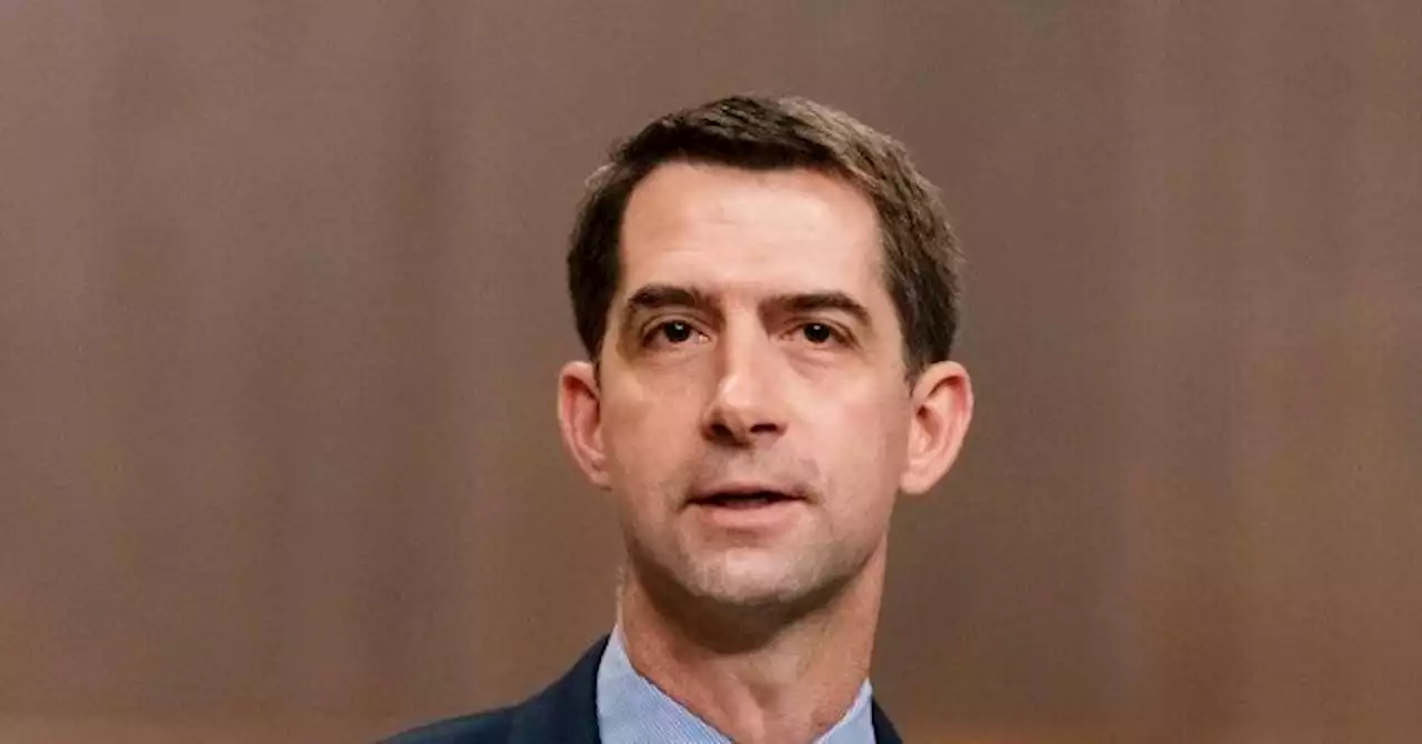 Tom Cotton: 'The Democratic Party Is Not Going to Be Tough on Crime'