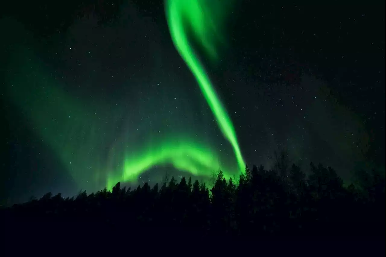 Does The Success Of Tesla Represent A 'Green Swan' Event? (Video)