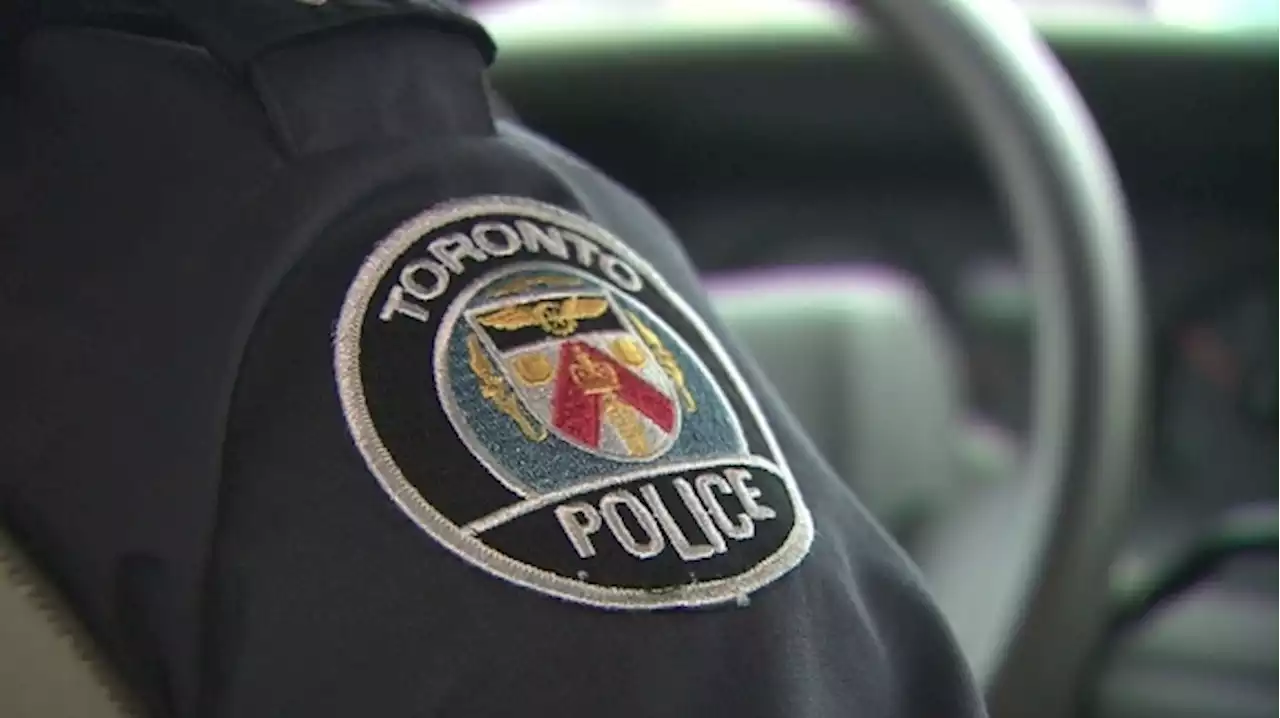 Bodies of 10 puppies found in plastic bags left at Scarborough parking lot: police