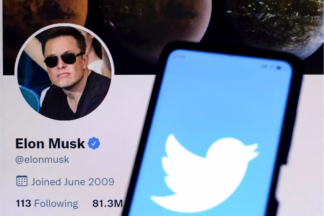 Onlinedienst - Twitter ergreift Maßnahmen gegen Übernahme durch Elon Musk