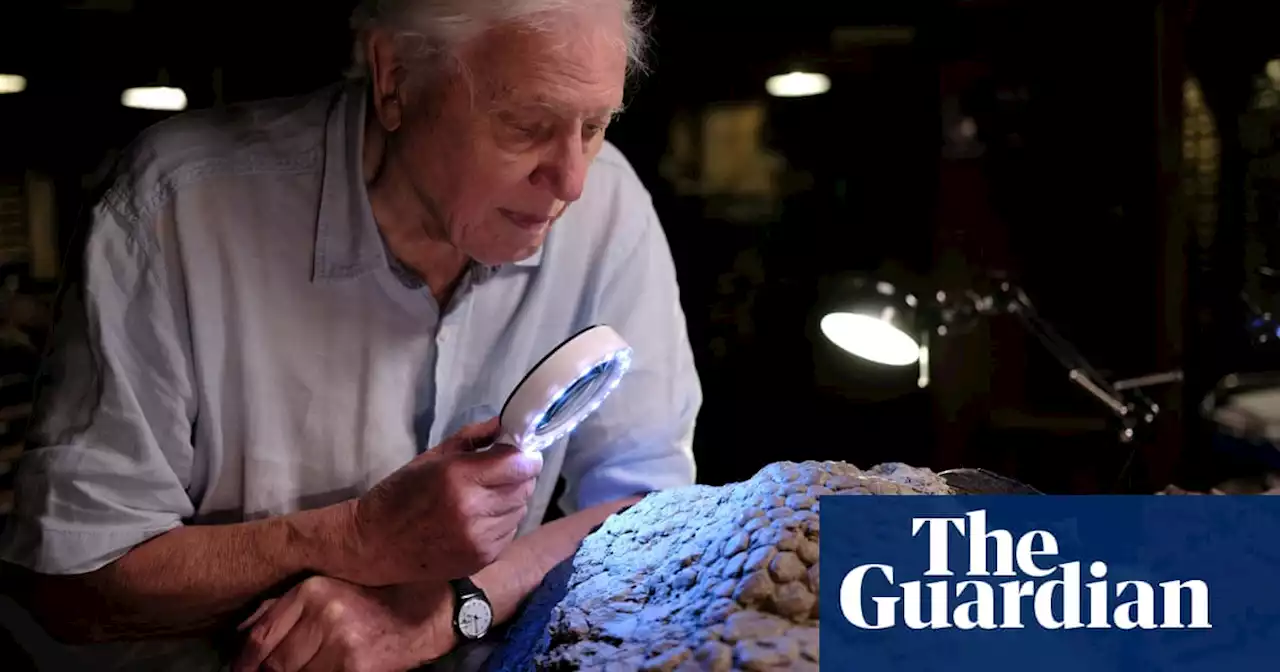 TV tonight: watch out dinosaurs, that big asteroid is coming – and so is David Attenborough