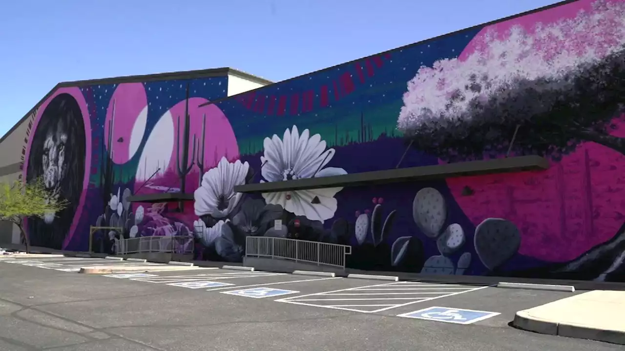 Meet Joe Pagac, the man behind many of Tucson's murals