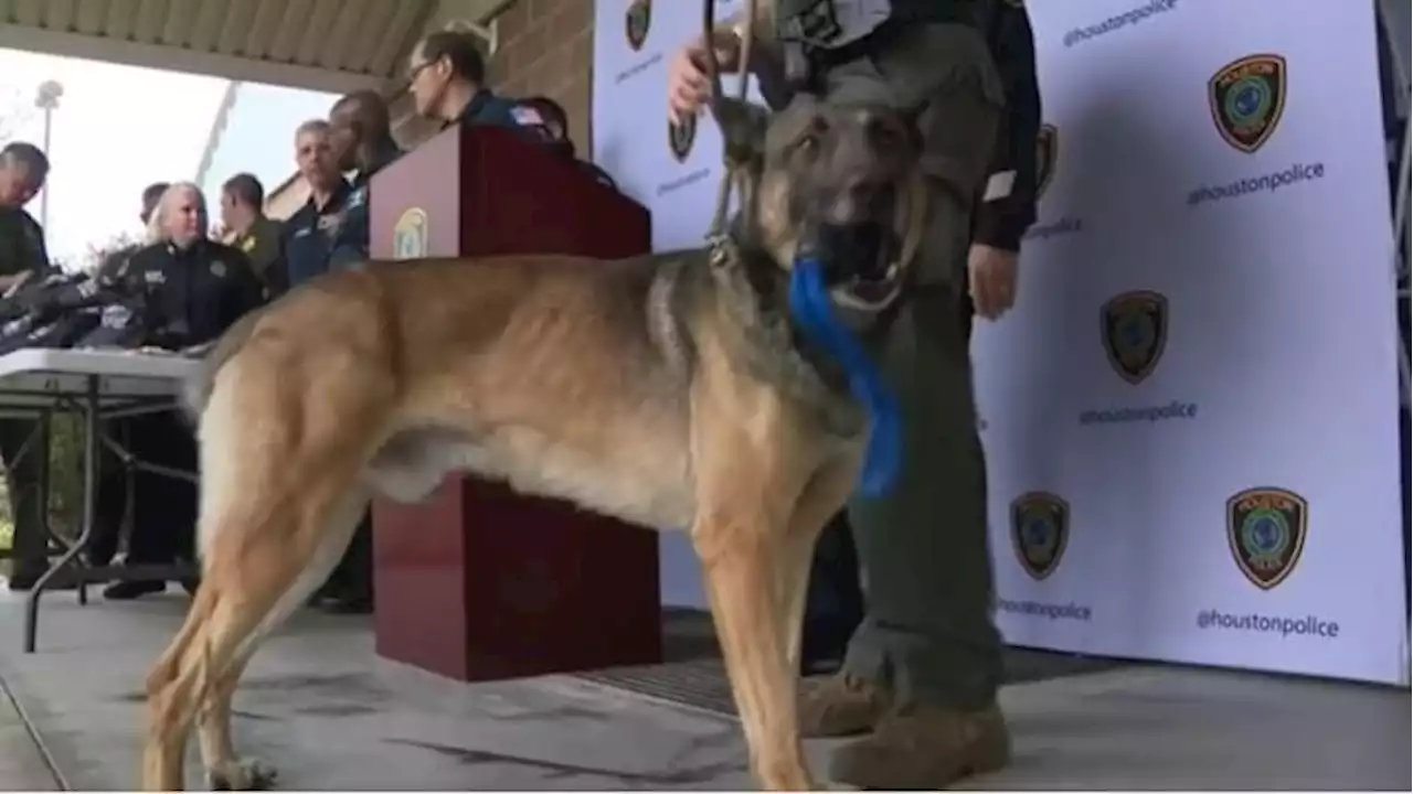 Houston police, Memorial Hermann Life Flight announce donation of individual first aid kits to K-9 officers