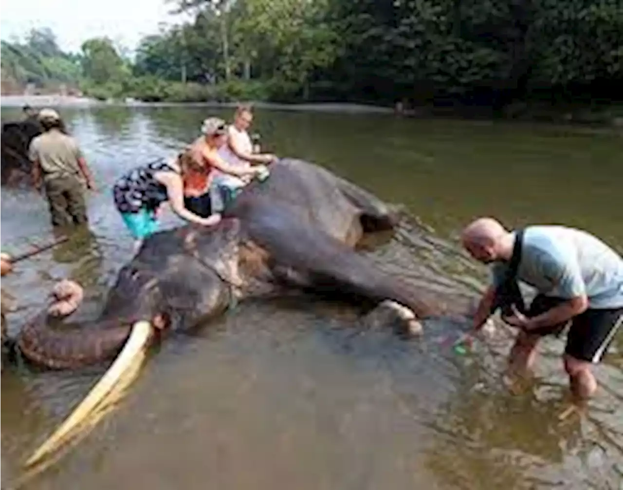 Menparekraf Dorong Pengembangan Ekowisata di Langkat Sumatra Utara