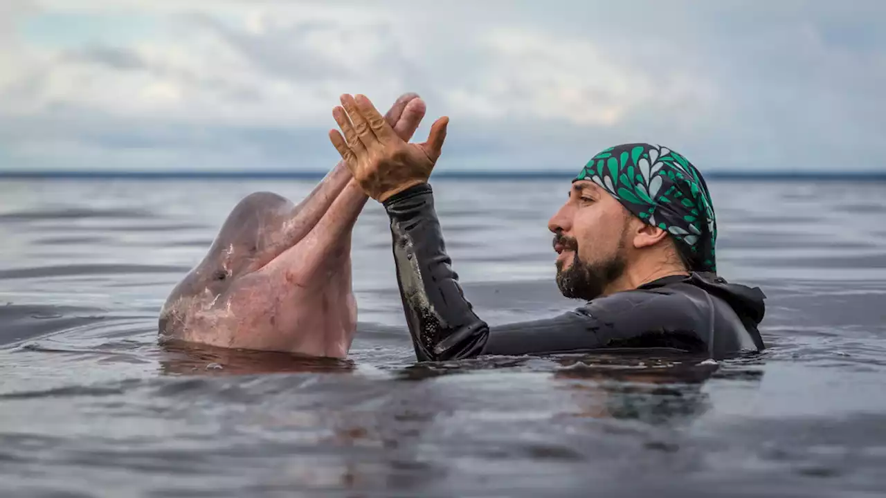 Fernando Trujillo: Understanding the Amazon’s aquatic health through river dolphins