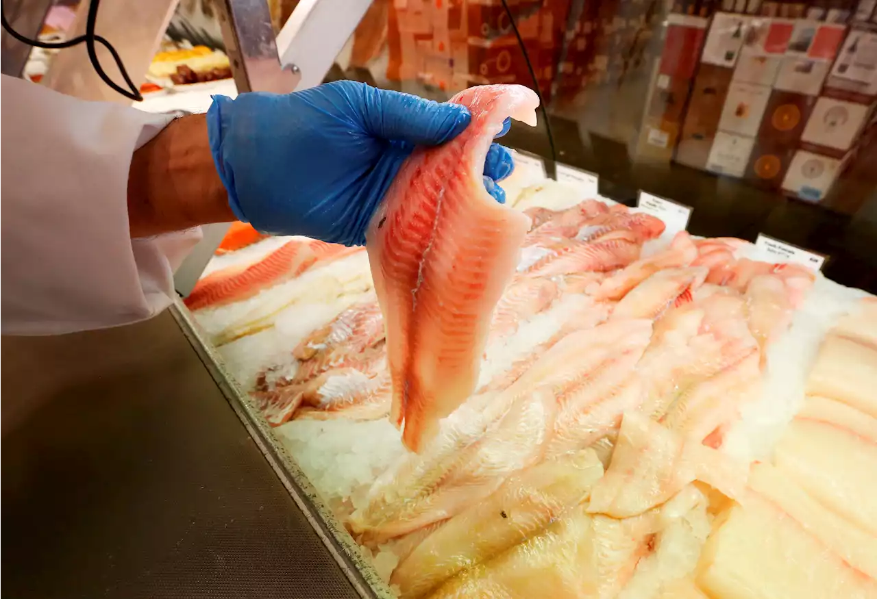 US Sanctions on Russia's Seafood Have a Big Loophole: China Processors