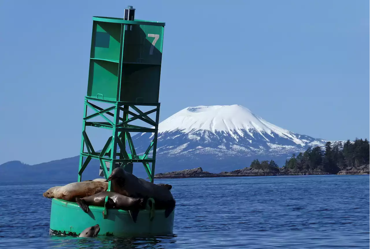 Hundreds of Small Earthquakes Recorded Near Alaska Volcano Dormant 800 Years