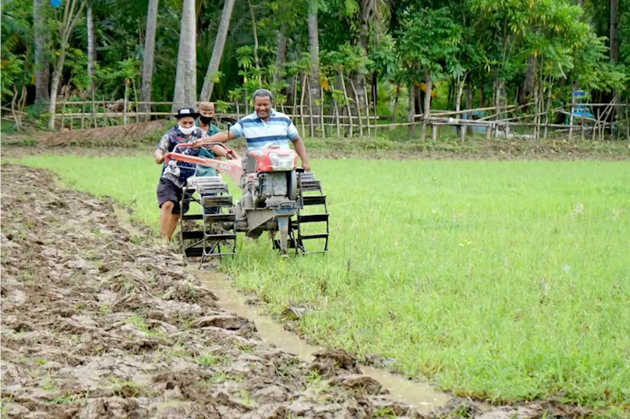 BRI Dorong Pembiayaan KUR Pertanian di Sulawesi Utara |Republika Online