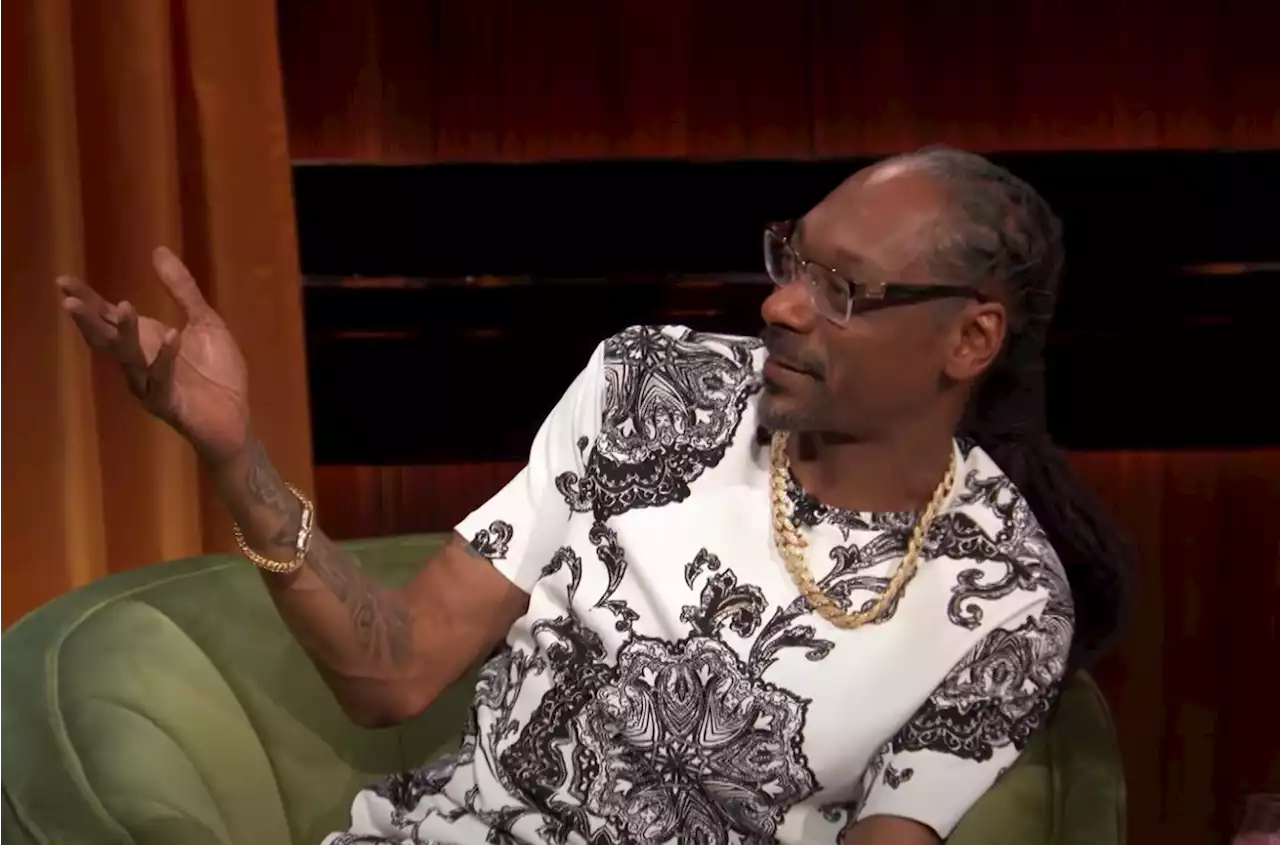 Snoop Dogg Laughs at Dumb Crooks in 'So Dumb It's Criminal' Trailer