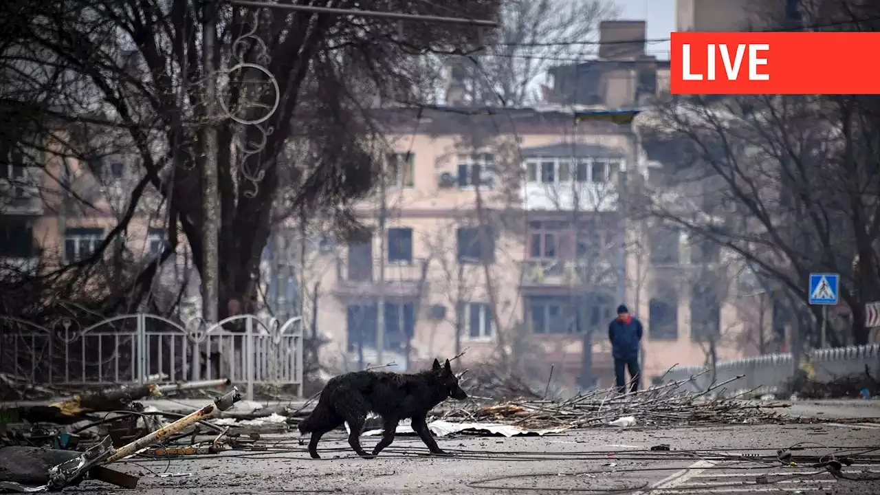 Direct - Guerre en Ukraine : la Russie va intensifier les frappes sur Kiev en réplique aux attaques en territoire russe