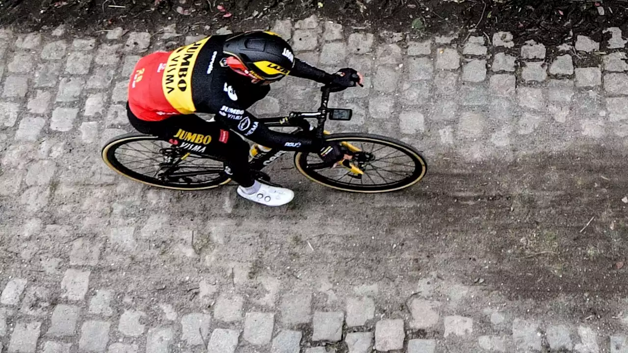 On connait nos Classiques : 'Comment sera Wout van Aert sur Paris-Roubaix ? C'est une énigme', s'interroge Rodrigo Beenkens