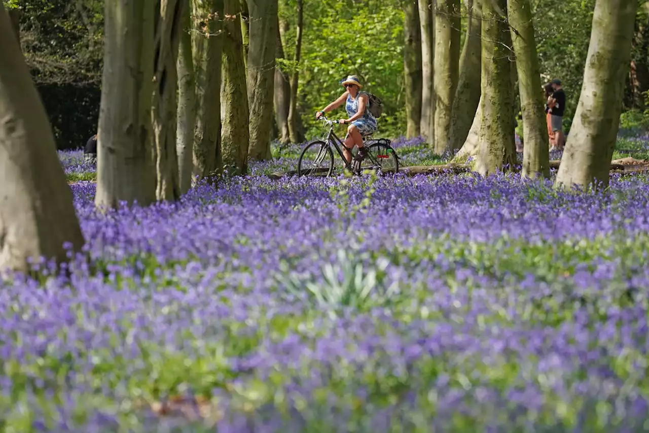 London records warmest day of the year so far as temperature hits 22C