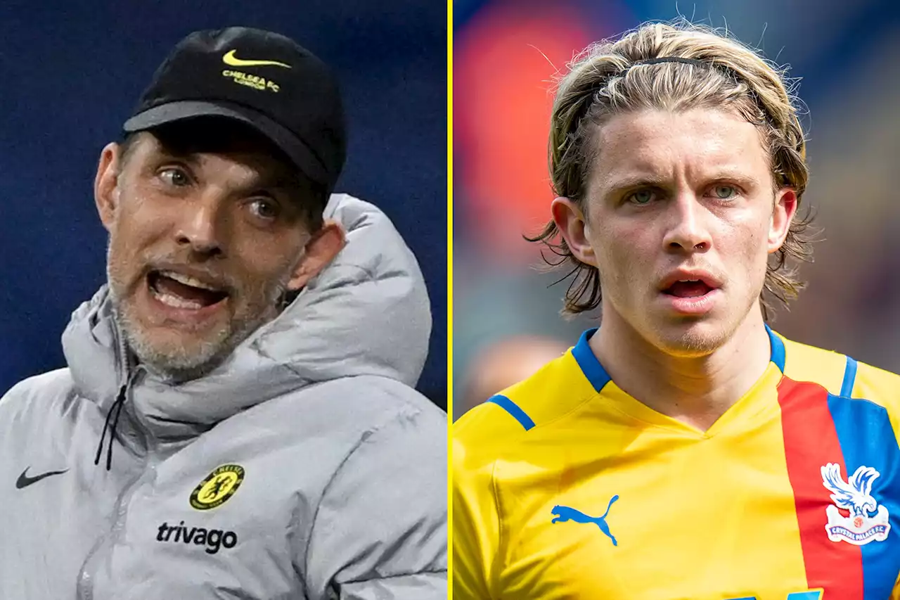 Tuchel apologises to Gallagher after Chelsea reject Crystal Palace's FA Cup request