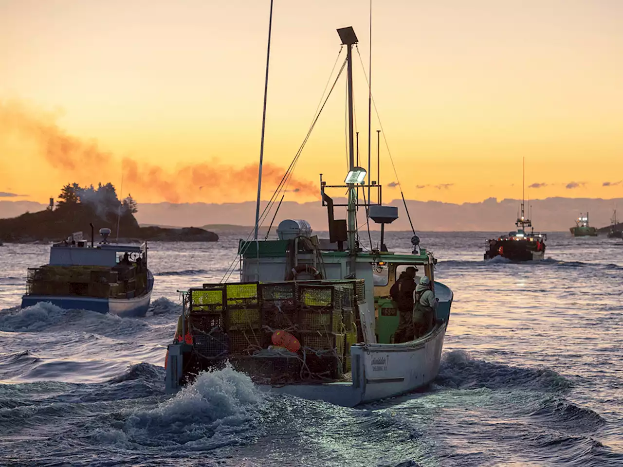 Demand in China, U.S. making Atlantic lobster too expensive for Canadians, industry fears