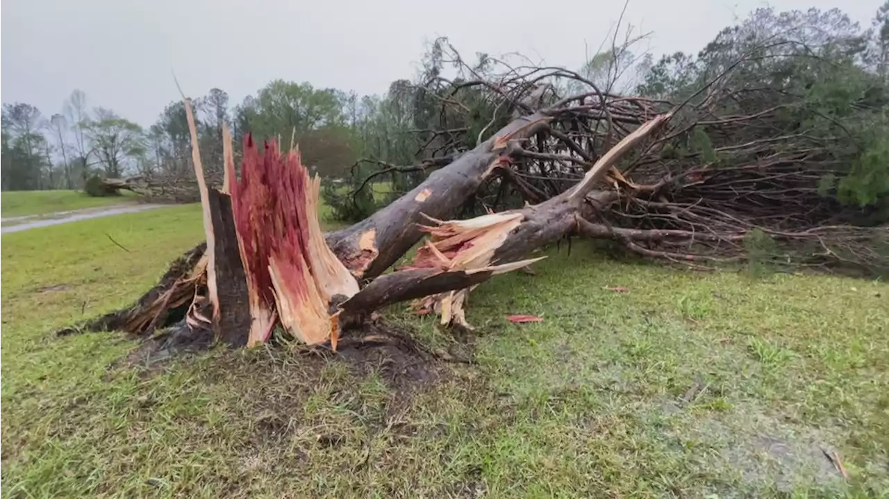 Experts share ways to combat severe weather stress, anxiety