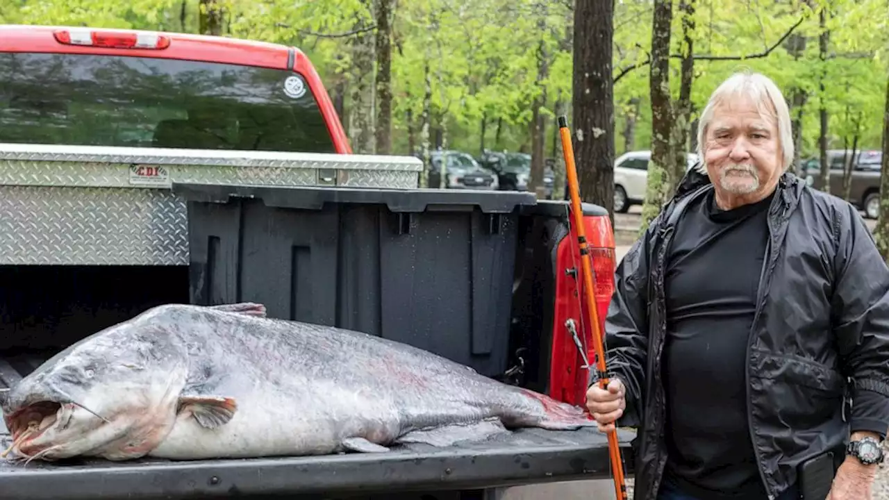 Mississippi man catches 131-pound catfish, sets state record