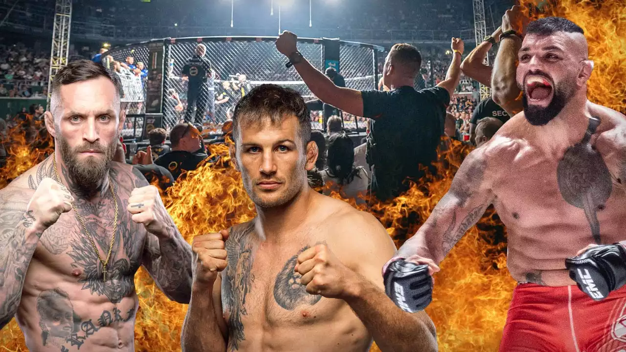 MMA bei BILD: Heute Kampf-Abend live! Diese 2 Käfig-Knaller muss jeder Fan sehen