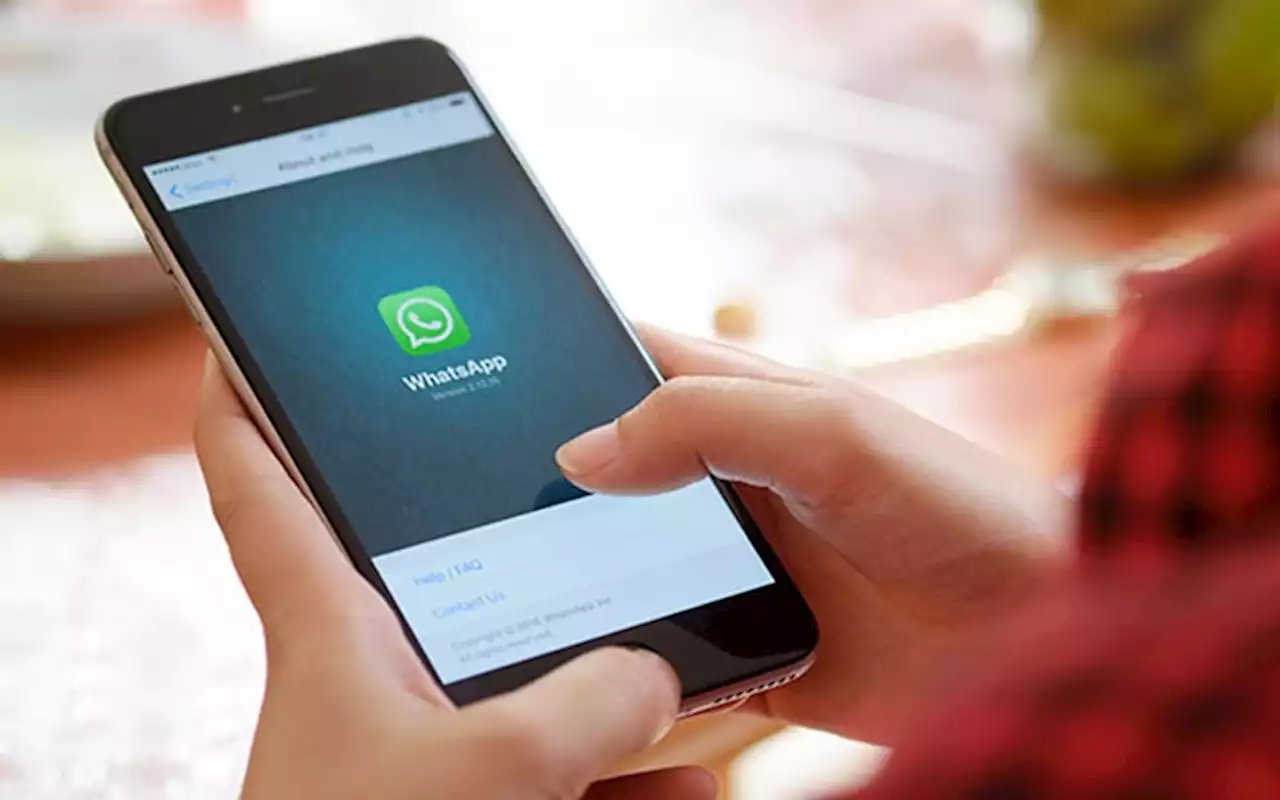 Begini Cara Merekam Obrolan Telepon WhatsApp di Ponsel Android | Teknologi - Bisnis.com