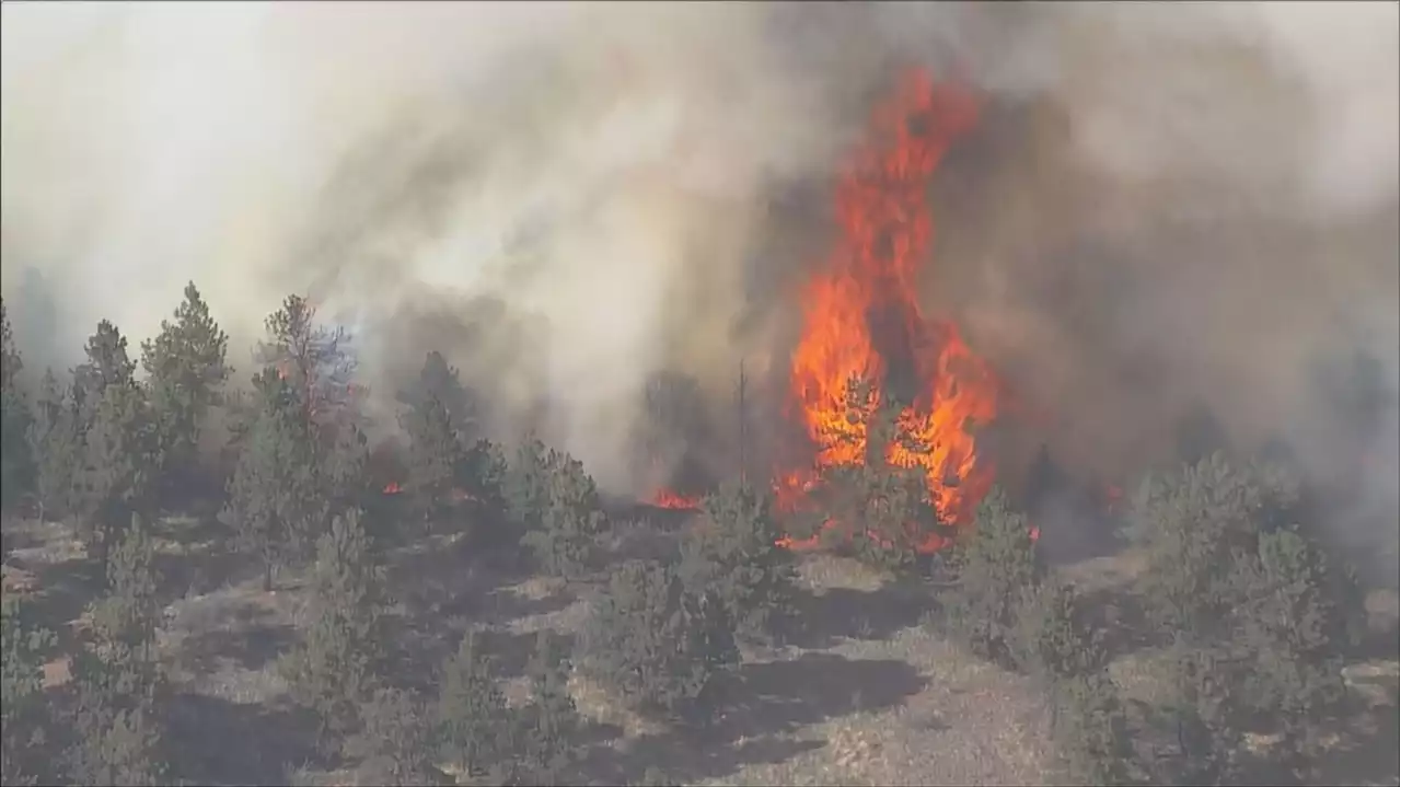 37E Fire: Better Aerial Mapping Shows 114 Acres Burned, 30% Contained