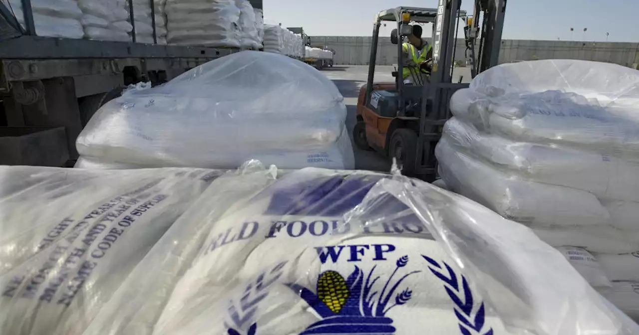 Conflict in Ukraine could harm global food supply, head of World Food Programme says