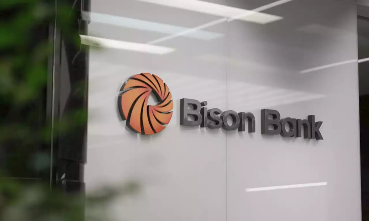 Bison Bank Becomes Portugal's First Financial Institution to Receive Crypto License (Report)