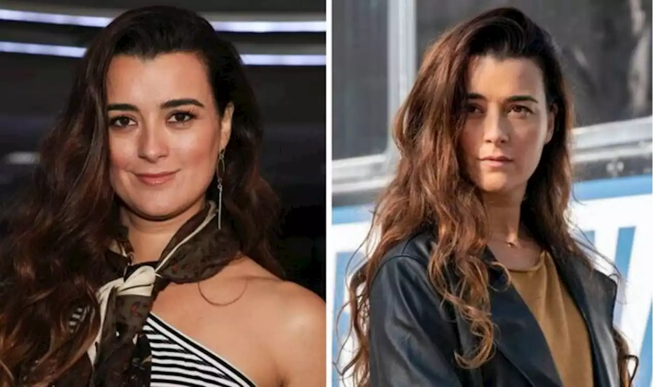 NCIS: Why did Cote de Pablo leave NCIS as Ziva David?