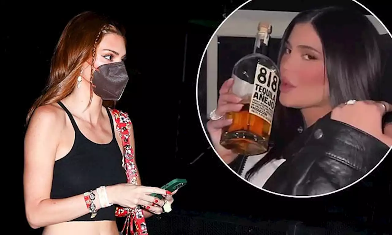 Kendall Jenner shows off her toned abs with Kylie at Coachella