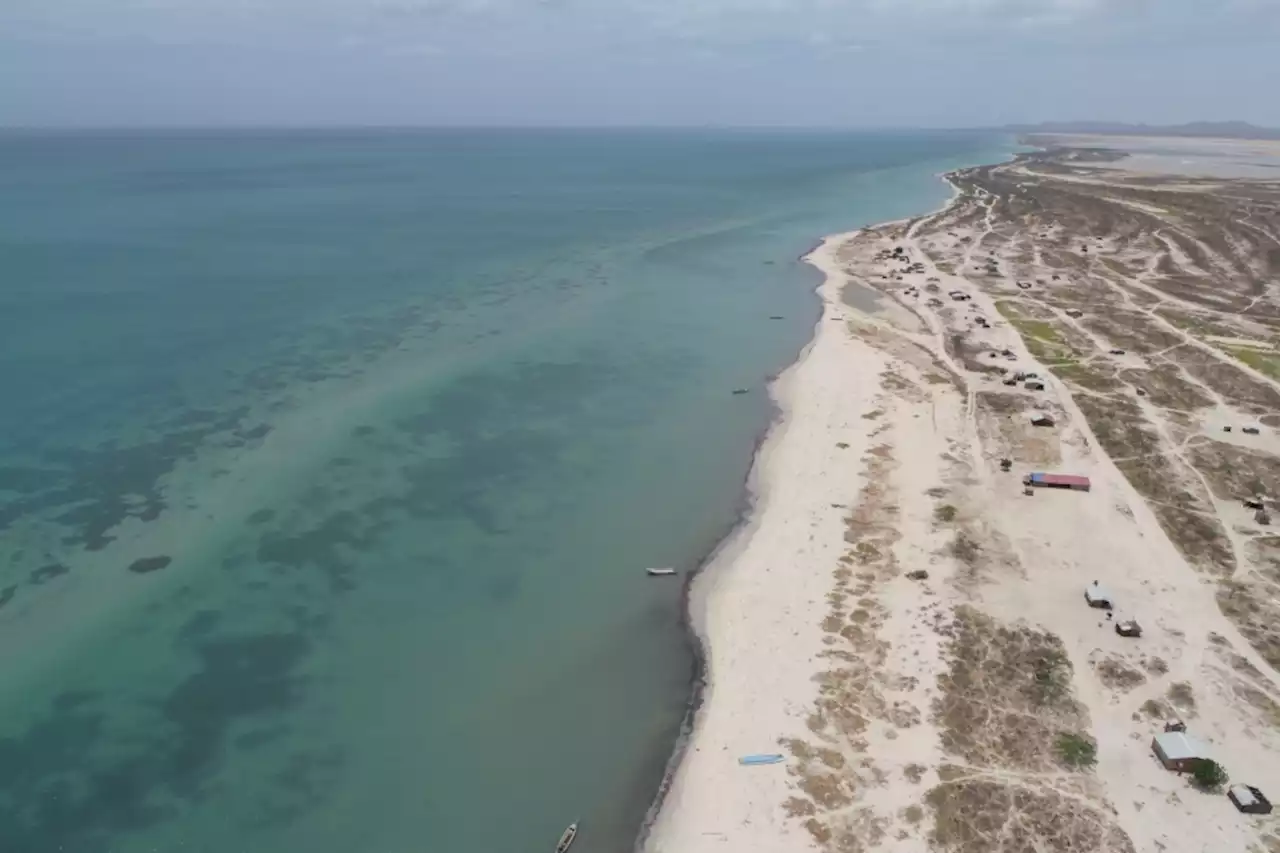 La Guajira, la nueva despensa de carbono azul