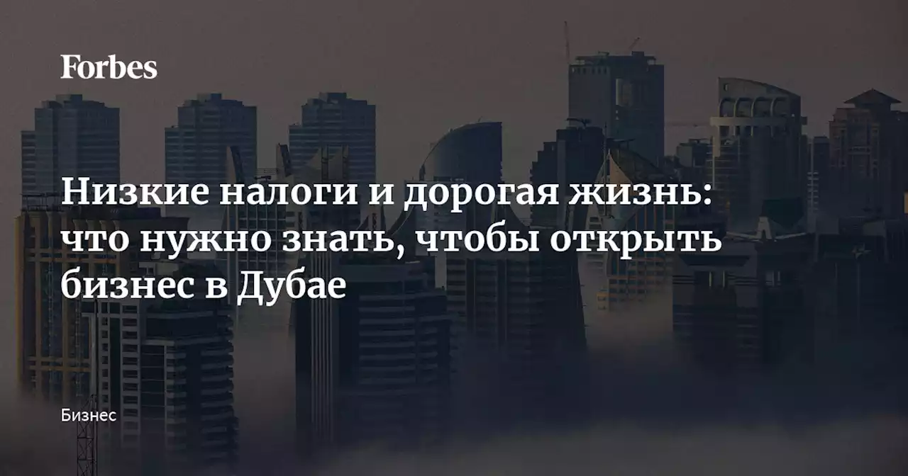 Низкие налоги и дорогая жизнь: что нужно знать, чтобы открыть бизнес в Дубае