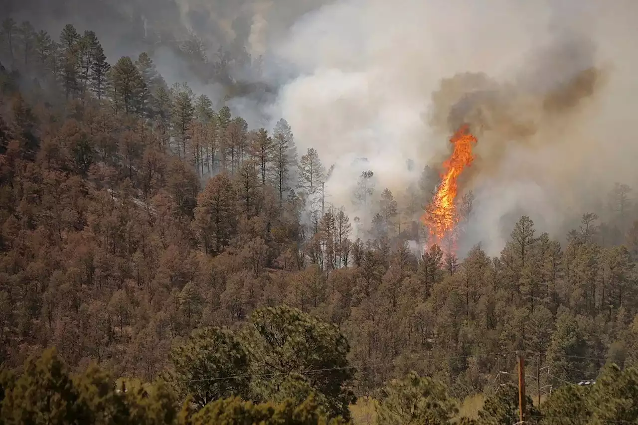 New Mexico Wildfire Spurs Evacuation Order For 5,000 People