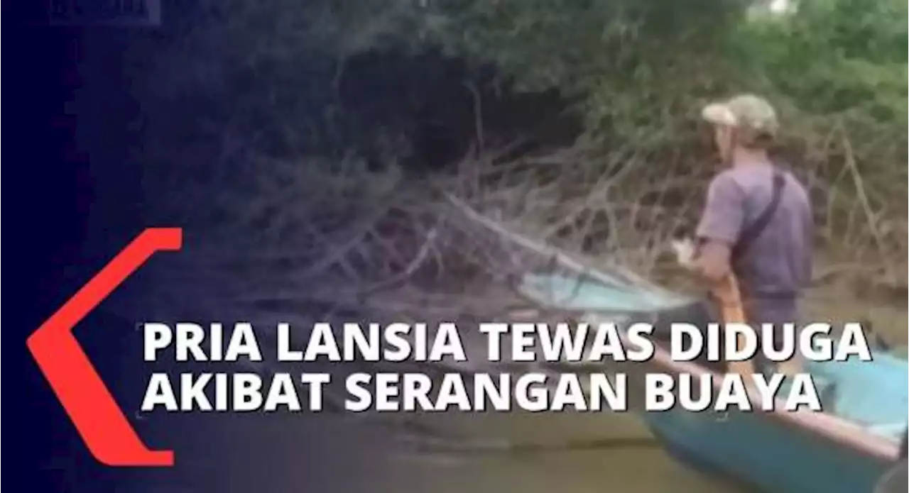 Pria Lansia Ditemukan Meninggal Dunia di Bantaran Sungai, Diduga jadi Korban Serangan Buaya