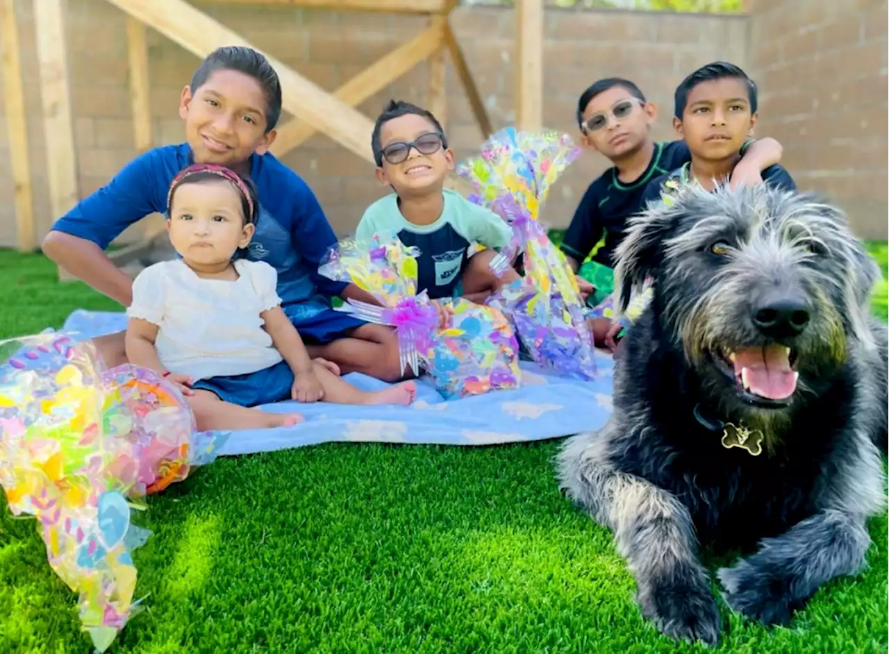 American Legion Post 520 plays Easter Bunny to support children of Van Nuys national guard unit