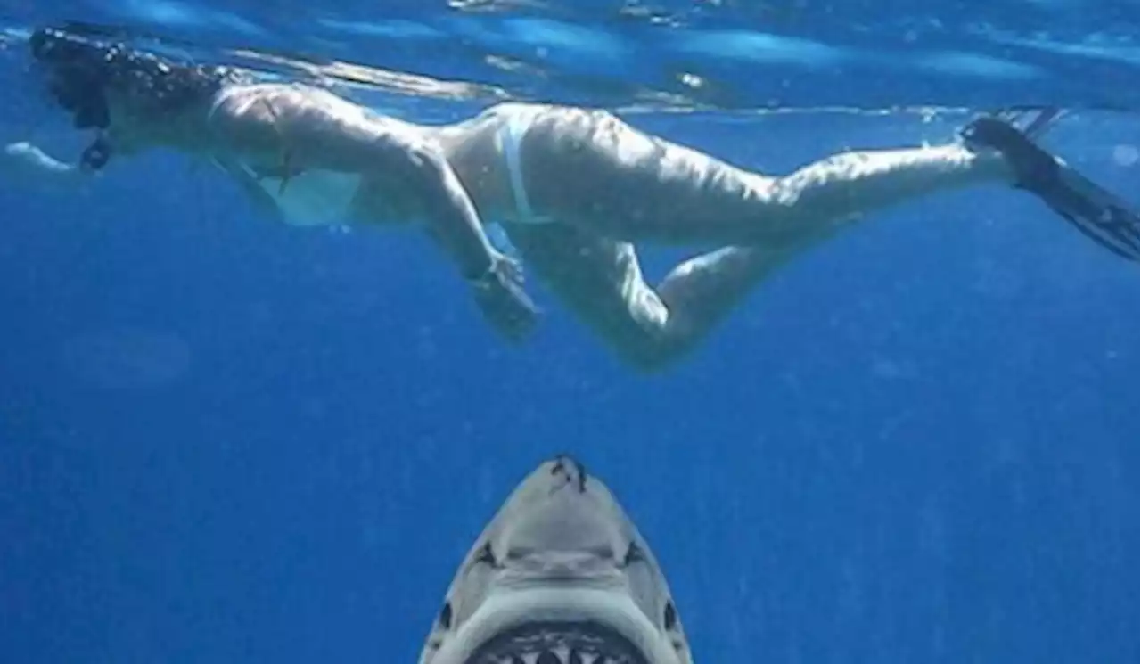 Davina McCall 'swims inches from killer shark' but worried fans shouldn't panic