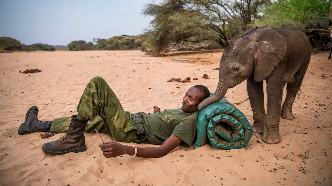 Warriors Who Once Feared Elephants Now Protect Them