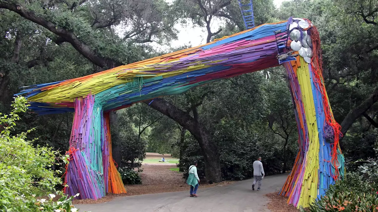 Strange Art Is Abloom at Descanso Gardens