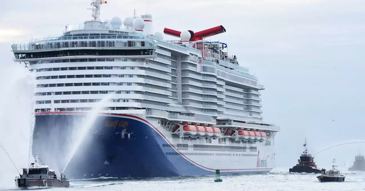 US Coast Guard searches for man who jumped from cruise ship