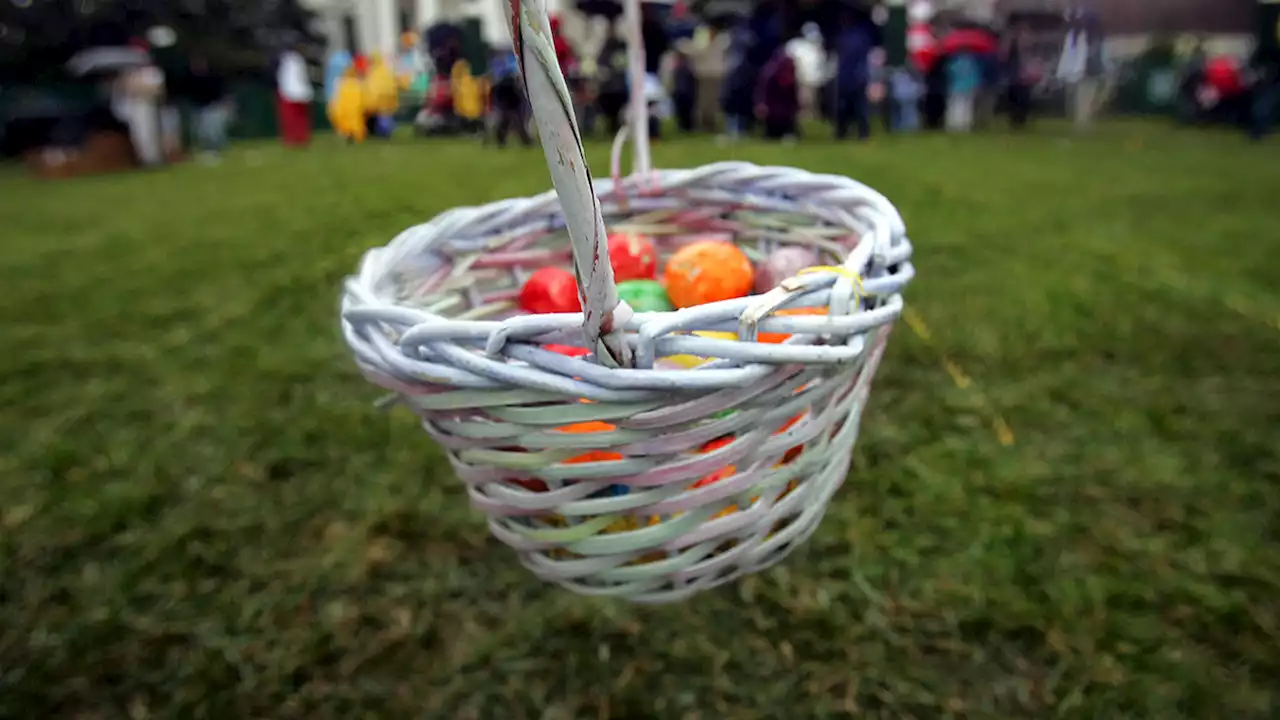 Super Egg-cited: A list of Easter Egg Hunts in San Diego this Weekend