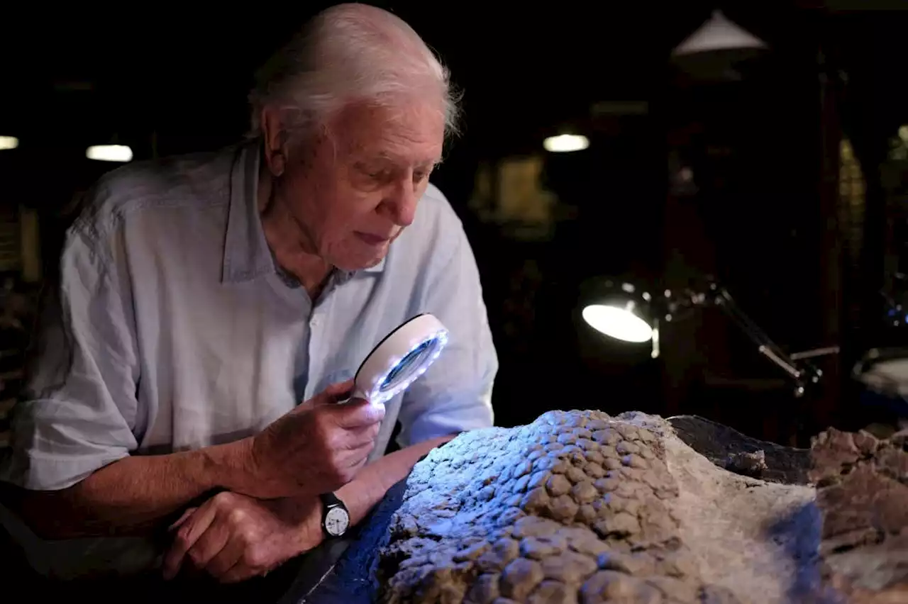 Dinosaurs: The Final Day with David Attenborough review