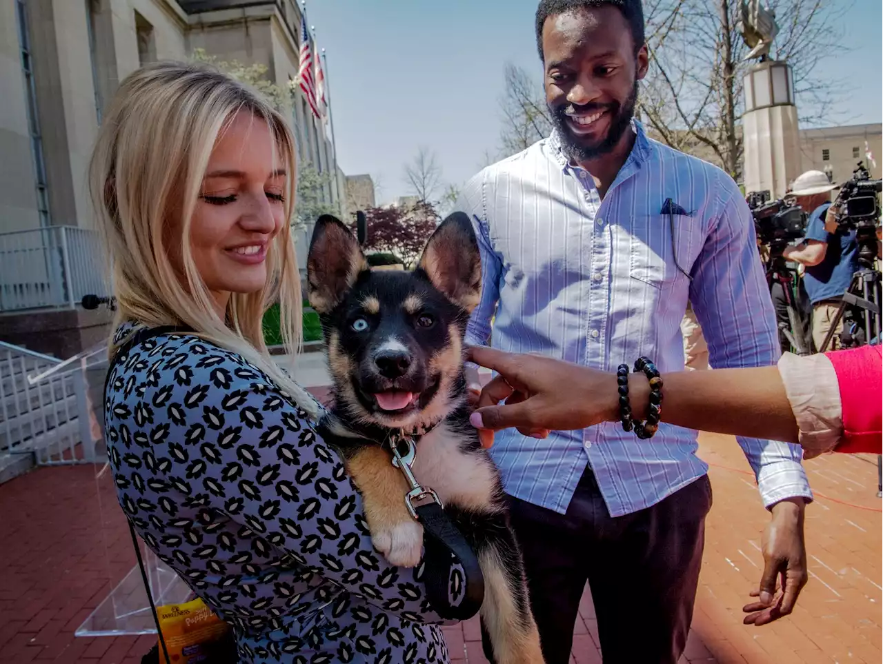 D.C. police arrest seven people found with dog taken in armed robbery