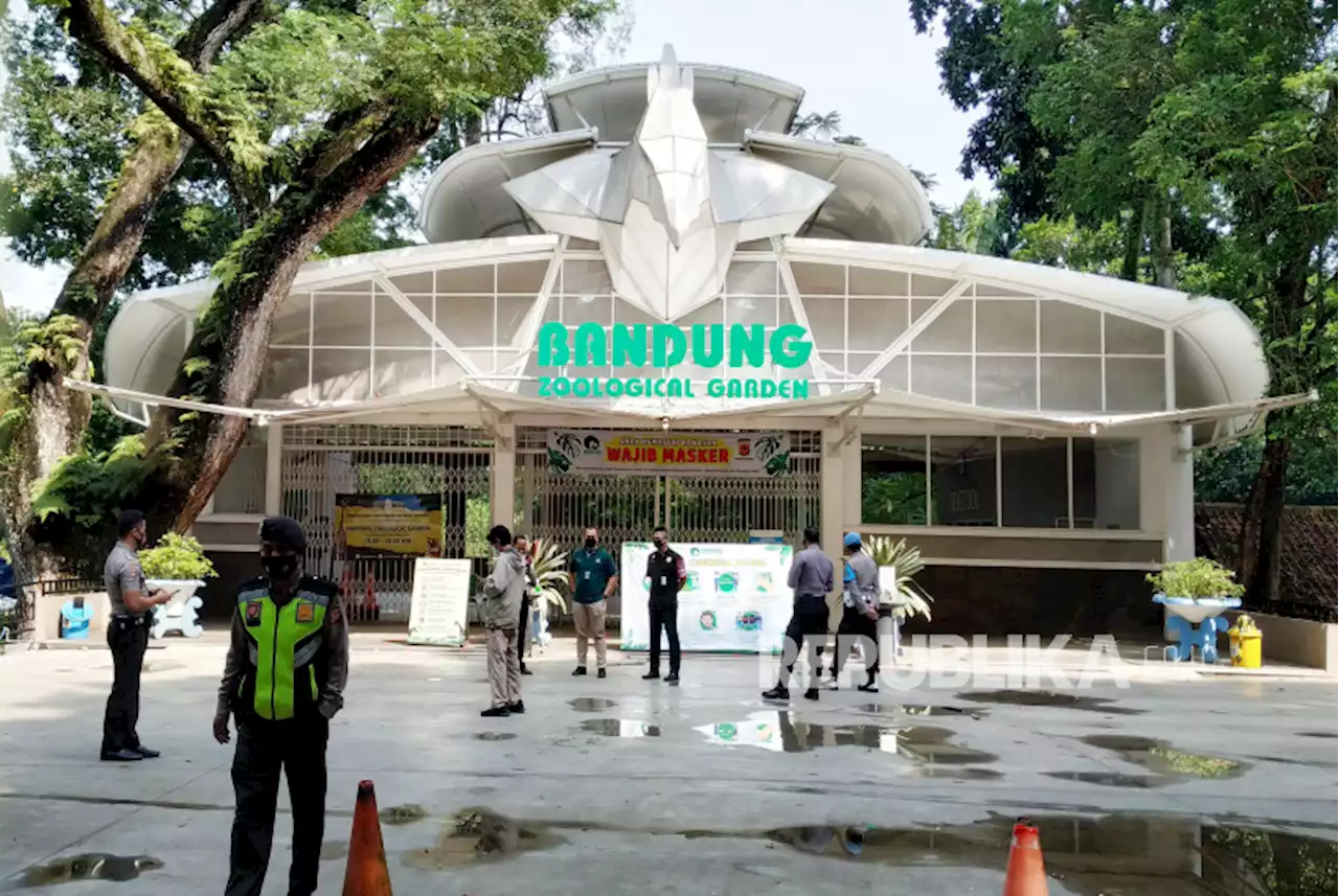 Libur Nasional, Pengunjung Serbu Kebun Binatang Bandung |Republika Online