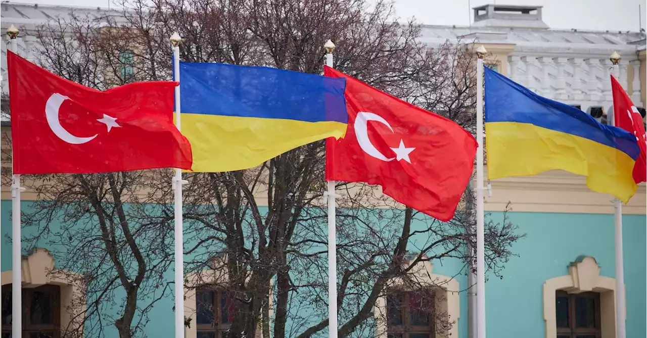 Ukraine working with Turkey, understands parallel ties to Russia, Ukrainian diplomat says