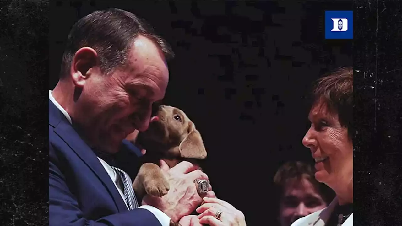 Duke Hoops Team Gifts Mike Krzyzewski New Puppy At Ceremony, Adorable Video