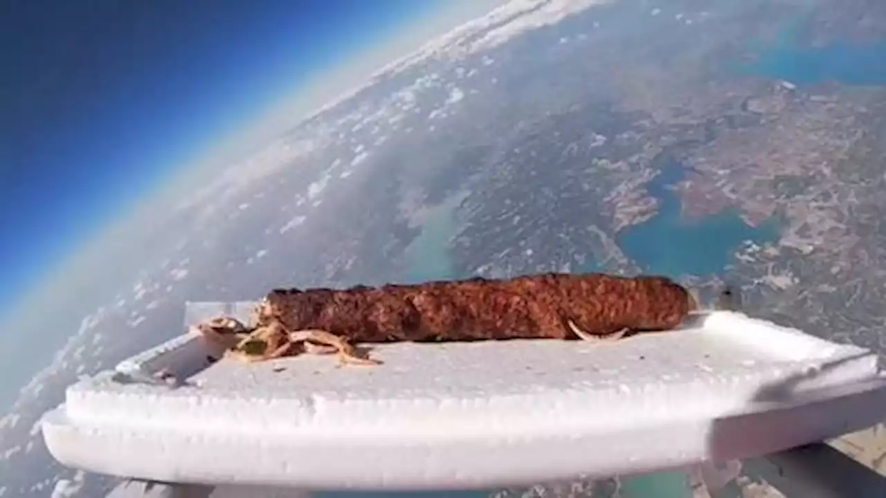 “Kebab takeoff”: Türkiye’s Adana Kebab almost reached space