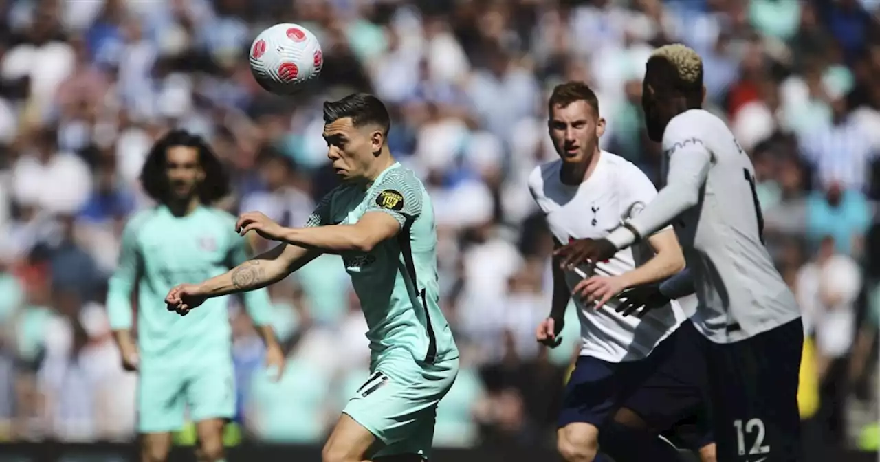 Veltman en Brighton geven Champions League-kansen van Spurs een knauw