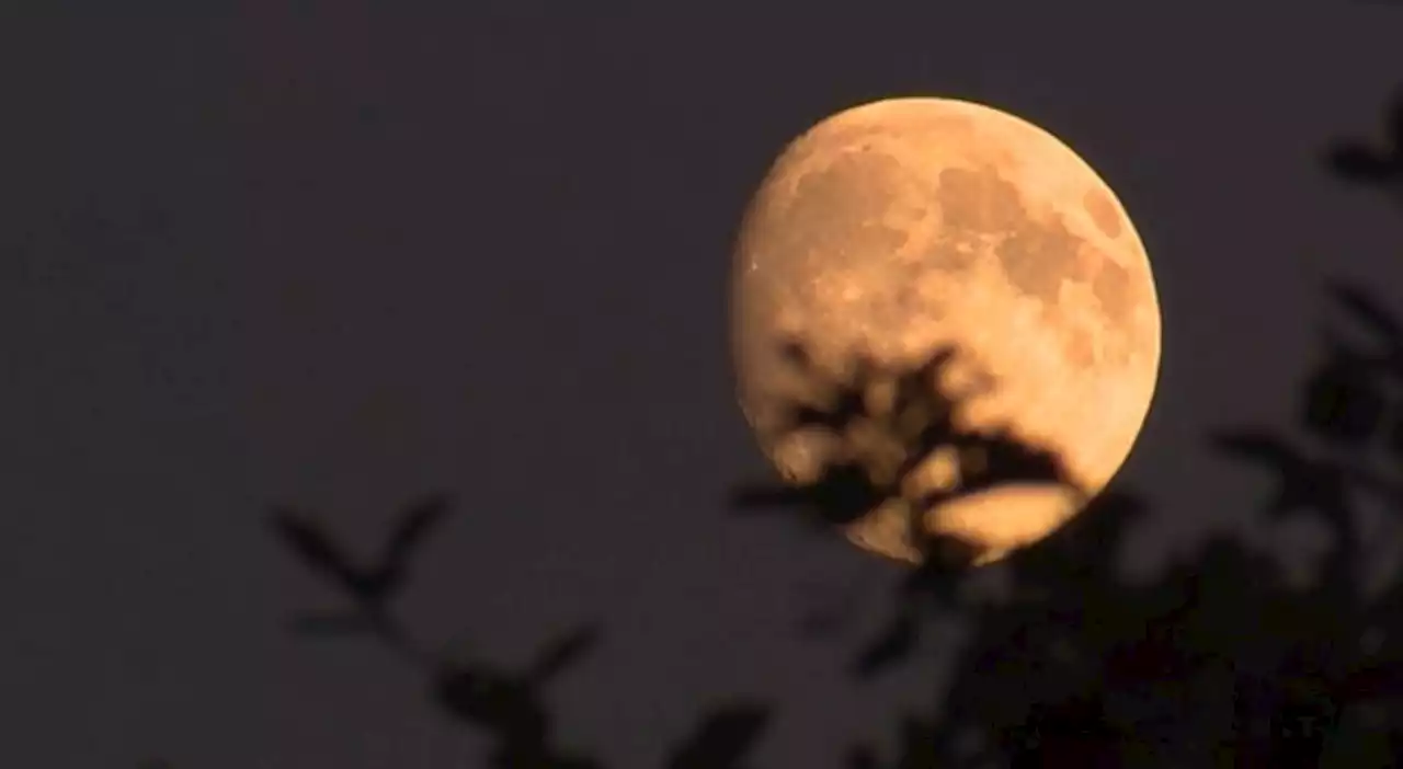 Full ‘pink moon’ to shine Easter weekend