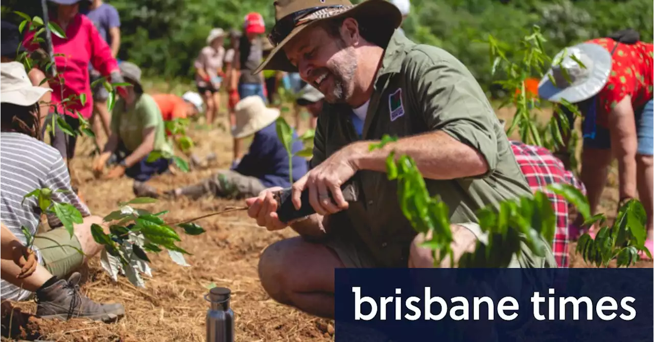 Why the Daintree’s going to be ‘the only rainforest that’s growing, not shrinking’