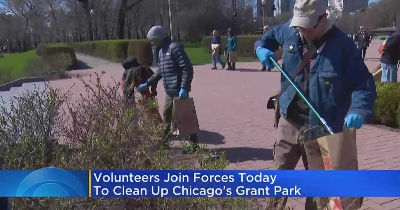 Volunteers clean up Chicago's Grant Park