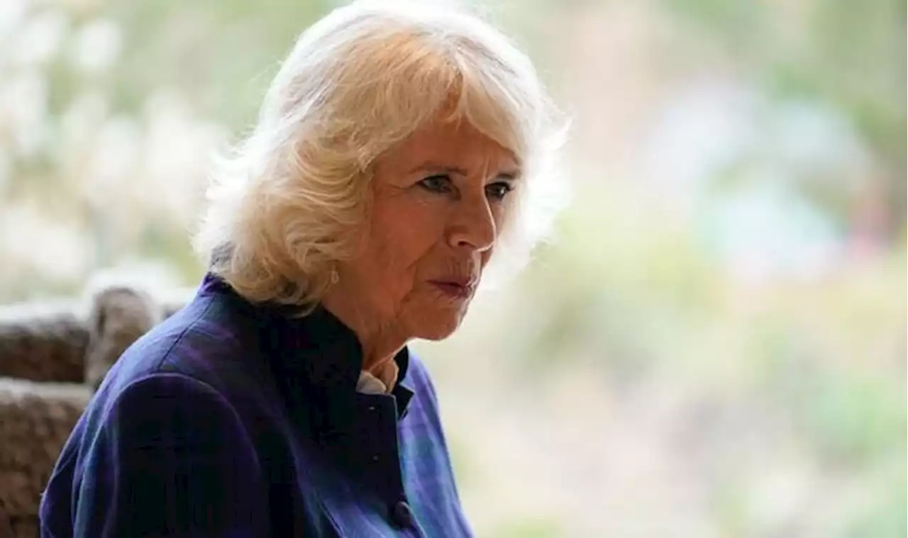 Camilla had 'empathy with Diana' as she struggled with adjusting to royal life