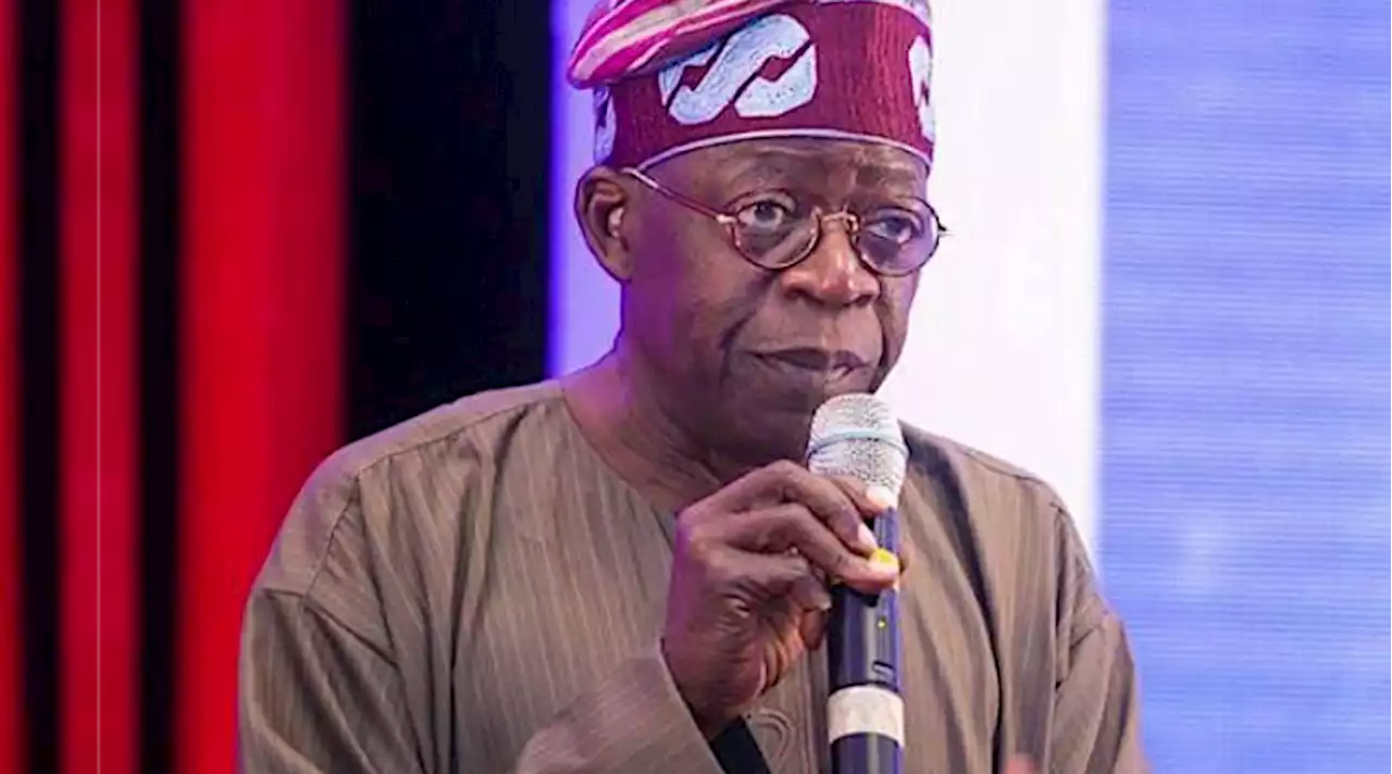 2023: Don't blame Nigerian youths for being lazy - Tinubu
