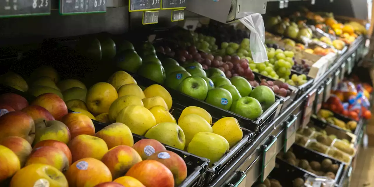 Présidentielle : mise en place du chèque alimentation en cas de réélection d'Emmanuel Macron